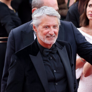 Antoine de Caunes - Montée des marches du film " La plus précieuse des marchandises " lors du 77ème Festival International du Film de Cannes, au Palais des Festivals à Cannes. Le 24 mai 2024 © Jacovides-Moreau / Bestimage 