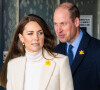 Kate Middleton et le prince William ne sont plus apparus ensemble depuis des mois
Kate Middleton et le prince William