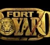 Les téléspectateurs ont alors eu l'occasion de faire la connaissance d'un nouveau personnage
Logo de "Fort Boyard 2020"