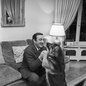 D'époque napoléonienne, cette bâtisse comprend un terrain de 1 400 m² et se situe dans le quartier cossu de Montretout à Saint-Cloud
Archives - En France, Lino Ventura chez lui, dans sa proprieté de Saint-Cloud le 3 avril 1967.