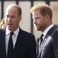 Harry et William brouillés depuis des années : une seule personne aurait pu venir à bout de leur conflit...