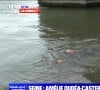 La ministre des Sports Amélie Oudéa-Castéra a démontré que les athlètes pouvaient nager sereinement dans la Seine.