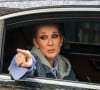  Les journalistes ont ainsi repris des propos du compositeur WalterAfanasieff qui a travaillé avec les deux chanteuses et qui avait s'était confié auprès de OK! Magazine sur leur profonde inimitié. 
Archives : Céline Dion