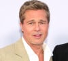 La star hollywoodienne est actuellement en promotion de "Wolfs"
Brad Pitt lors de la projection en avant-première du film Wolfs mercredi 18 septembre 2024 à Los Angeles.