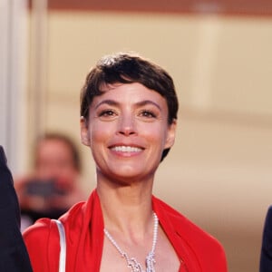 Bérénice Bejo - Descente des marches du film " La plus précieuse des marchandises " lors du 77ème Festival International du Film de Cannes, au Palais des Festivals à Cannes. Le 24 mai 2024 © Jacovides-Moreau / Bestimage 