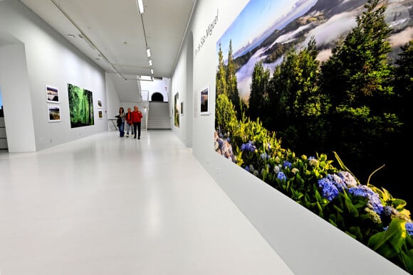 Exclusif - Le prince Albert II de Monaco a visité l'exposition photographique de l'artiste Micheline Pelletier " Les Açores Un jardin sur l'Atlantique " présentée par L'Oeil en Seyne, organisée par Jacqueline Franjou, la présidente de la Villa Tamaris à la Seyne sur Mer, le 11 octobre 2024. L'exposition se déroule du 15 octobre 2024 au 5 janvier 2025. Sur 3 niveaux, le public va voyager grace à l'objectif de Micheline Pelletier et les 200 photographies présentées, extraite du livre de Micheline, préfacé par Isabelle Autissier. Cette exposition salue aussi le travail scientifique du prince Albert 1er, qui effectua 13 expéditions dans cet archipel portugais. Dans les invités on pouvait noter la présence d'Emmanuel Falco, premier conseiller du prince, de l'ambassadeur du Portugal en France et à Monaco, M. José Duarte, le consul du Portugal à Marseille M. Alvarez, de M. Thomas Fouilleron, directeur des archives et de la bibliothèque du Palais Princier (qui ont enrichi de documents la salle dédiée au prince Albert 1er), de Vincent Vatrican, le directeur du centre des archives audiovisuelles de Monaco, de Pierre-Antoine Gérard, conservateur du Musée océanographique entre autres, du préfet du Var Pierre Mahet, de la sénatrice Françoise Dumont, ainsi que le président du Conseil départemental Jean-Louis Masson, sa vice-présidente en charge de la politique culturelle Virginie Lenoir, le vice-président de la Région François de Canson, ainsi que les maires et vice-président de la communauté d'agglomération TPM Mme Nathalie Bicais (La Seyne), Jean-Sébastien Vialatte (Six-Fours), Robert Bénéventi (Ollioules), Yann Tainguy, adjoint au maire de Toulon délégué à la Culture. © Bruno Bebert/Bestimage 