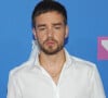 Quelques jours après la mort de Liam Payne, une source a révélé au Dailymail que le chanteur ne s'était pas suicidé et qu'il aurait pu être sauvé. 
Archives - Liam Payne, l'ancien membre du groupe One Direction, décédé à l'age de 31 ans, après une chute mortelle du 3ème étage du CasaSur Palermo Hotel à Buenos Aires,