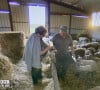 Et d'après lui, même les copines de Murielle sont intervenues
Pascal à la ferme avec sa prétendante Murielle dans "L'amour est dans le pré". M6