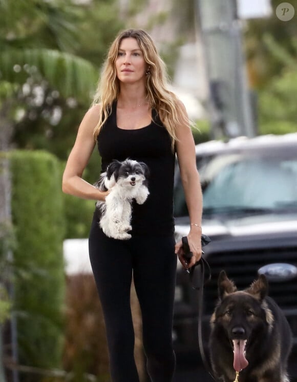 EXCLUSIF : Gisele Bundchen a été aperçue en train de promener ses chiens à Miami Beach, en Floride. Le top model brésilien portait un débardeur noir, un legging assorti et des sandales. Gisele portait un adorable petit chiot tandis que son berger allemand restait près d'elle.