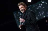 Johnny Hallyday : Un célèbre artiste a revendu un de ses biens, sa retraite trop faible en cause