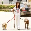 Janice Dickinson défend la mariage gay en promenant ses chiens. Le 3 juin 2010 à Beverly Hills