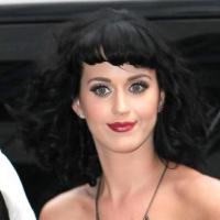 Katy Perry : Quand la bombe californienne joue les félines... c'est "hot" !