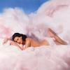 Katy Perry vient de dévoiler le visuel de son nouvel album, Teenage  Dream.