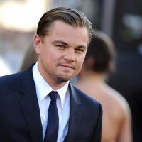 Leonardo DiCaprio : La femme qui l'avait violemment agressé enfin devant la justice !