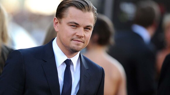 Leonardo DiCaprio : La femme qui l'avait violemment agressé enfin devant la justice !