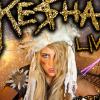 Kesha en concert à Paris, le 7 décembre 2010
