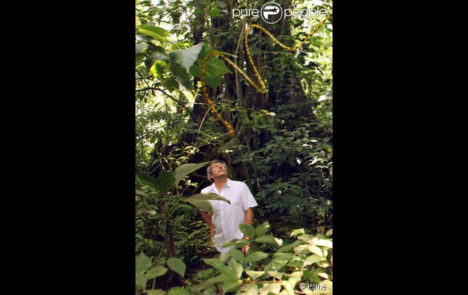 Alain Chabat Et Son Film Houba Le Marsupilami Et L Orchidee De Chicxulub Purepeople
