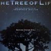 Des images de Tree of Life, de Terrence Malick, en salles en mai 2011.
