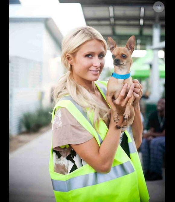 Paris Hilton a décidé d'adopter un chihuahua abandonné.