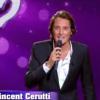 Vincent Cerutti a animé Sosie ? Or not sosie ! d'une main de maître, samedi 1er janvier 2011 à 20h50 sur TF1.