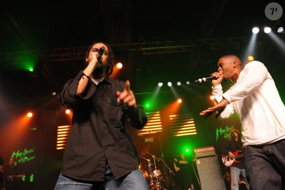 Damian Marley et Nas