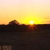 Le soleil se lève sur l'outback australien. L'émission est ponctuée de magnifiques paysages.