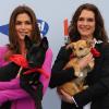 Brooke Shields prend la pose lors du Propel Zero à 1000 Celebrity Dog Walking à Los Angeles le 2 avril 2011