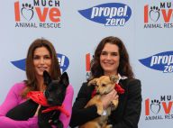 Cindy Crawford et Brooke Shields : Deux déesses réunies qui ont du chien !