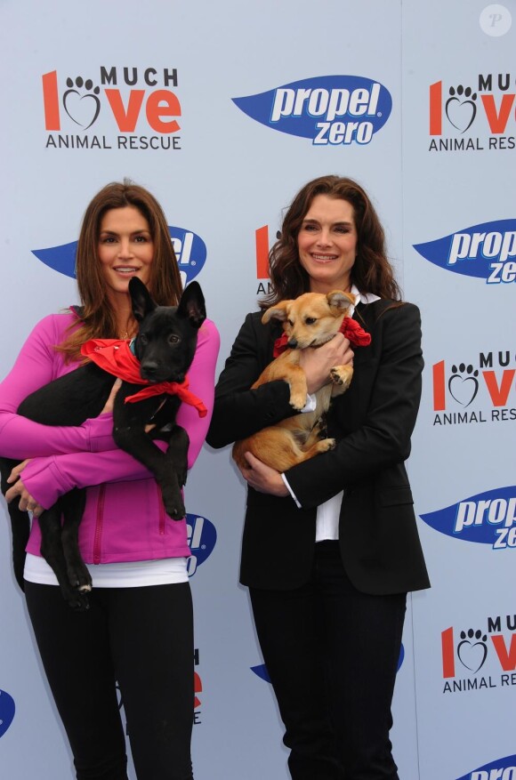 Brooke Shields prend la pose lors du Propel Zero à 1000 Celebrity Dog Walking à Los Angeles le 2 avril 2011