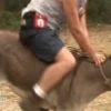 Jean-Pierre tombe de l'âne dans Pékin Express : la route des grands fauves sur M6 le mercredi 8 juin 2011