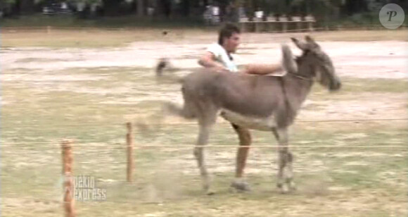 Jean-Pierre tombe de l'âne dans Pékin Express : la route des grands fauves sur M6 le mercredi 8 juin 2011