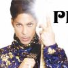 Prince au Stade de France, le 30 juin 2011.