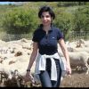 Rachida Dati, le 5 juillet 2011, dans les alpages avec les moutons !