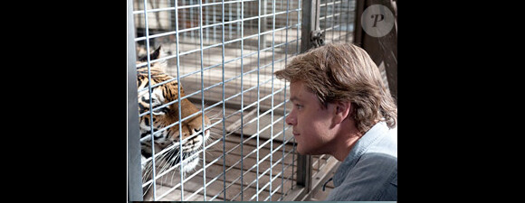 Image du film We Bought a Zoo