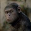 La bande-annonce du film La Planète des singes : les origines