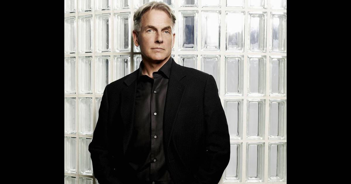 L'agent Gibbs va peutêtre retrouver l'amour dans NCIS Purepeople