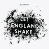 PJ Harvey, The Glorious Land, second extrait de Let England Shake.
