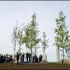 Felipe et Letizia d'Espagne se sont recueillis, dimanche 11 septembre 2011, à la mémoire des victimes des attentats du 11 septembre et ont planté un arbre commémorant ce triste anniversaire dans le parc Juan Carlos de Madrid.