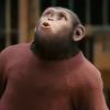 Andy Serkis explique son travail dans La Planète des singes : les origines où il joue Cesar, le singe