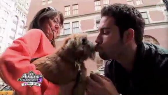 Kevin embrasse un chien dans les Anges de la télé-réalité 3, vendredi 18 novembre 2011, sur NRJ 12