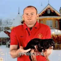 Wayne Rooney : Dégoûté par un chiot, il se fait humilier par Gerard Piqué