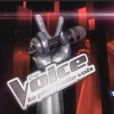 The Voice, futur télé-crochet de TF1