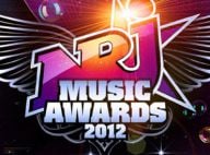 NRJ Music Awards 2012 : Le palmarès, de LMFAO et le roi Pokora à l'extra Shakira