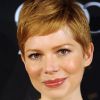 Michelle Williams à Los Angeles, le 14 janvier 2012.