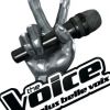 The Voice : la plus belle voix (sur TF1 dès le 25 février 2012)
