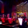 Prestation de Ludivine dans The Voice, samedi 25 février 2012 sur TF1
