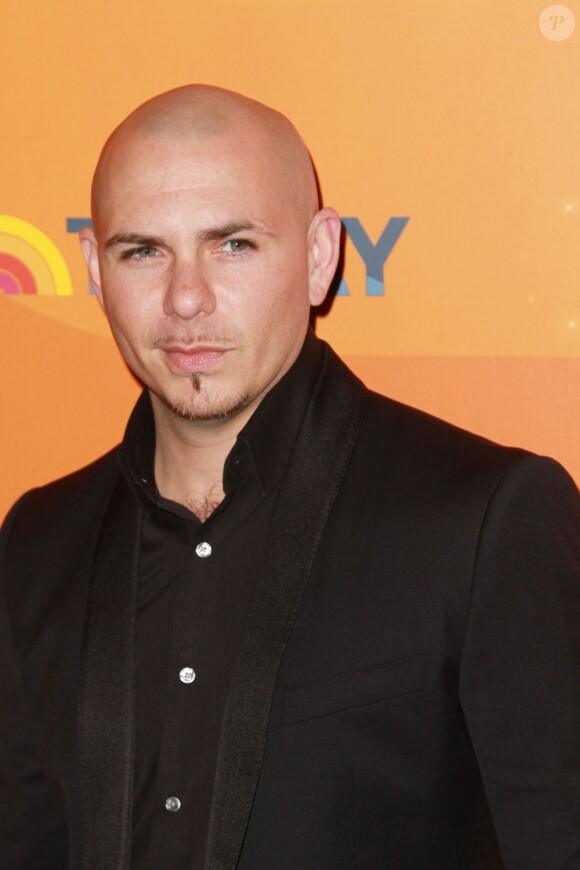Pitbull en janvier 2012