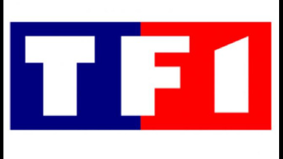 TNT : TF1 et M6 récupèrent chacune une chaîne
