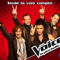 The Voice s'offre une tournée des Zéniths dans toute la France
