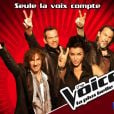 Les coachs de The Voice (TF1)
